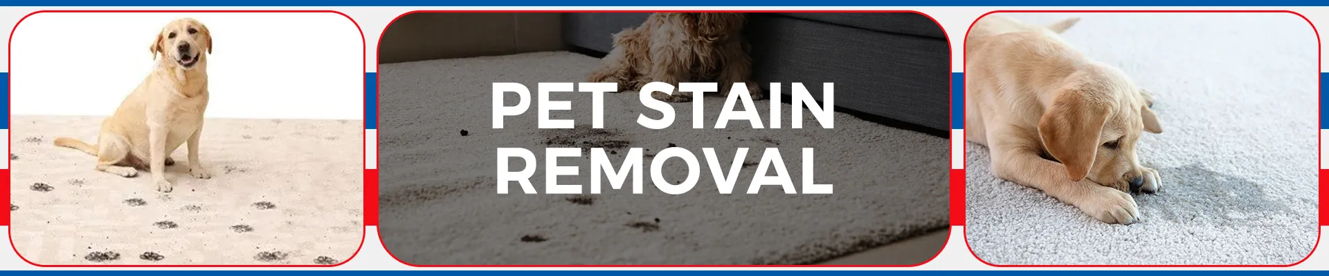 carpet cleaning in brooklyn, carpet cleaning in brooklyn, carpet cleaning brooklyn, carpet cleaners in brooklyn, carpet cleaners in brooklyn, commercial carpet cleaning, commercial carpet cleaning in brooklyn, brooklyn rug cleaners, rug cleaning services in brooklyn, same day carpet cleaning, same day rug cleaning